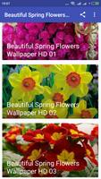 Beautiful Spring Flowers Wallpaper HD Affiche