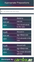 Appropriate Preposition Bangla poster