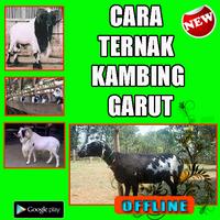 Cara Ternak Kambing Garut capture d'écran 1