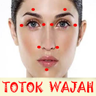 Cara Totok Wajah icône