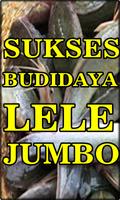 Cara Budidaya Lele Untuk Pemula Sampai Sukses capture d'écran 2