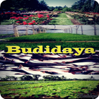 Cara Cepat Budidaya icon
