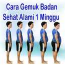 Cara Gemuk Badan Sehat Alami 1 Minggu APK