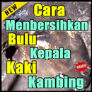 Cara Membersihkan Bulu Kepala Dan Kaki Kambing APK
