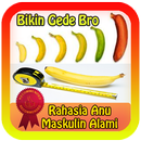 Rahasia Anu GEDE APK