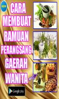 CARA MEMBUAT RAMUAN PERANGSANG โปสเตอร์