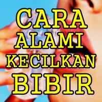 Cara Mengecilkan Bibir Secara Alami Paling Ampuh تصوير الشاشة 1