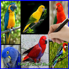 آیکون‌ How To Draw a Bird