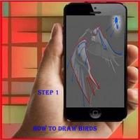 How To Draw a Bird poster