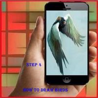 برنامه‌نما How To Draw a Bird عکس از صفحه