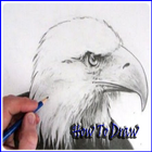 Dibujo Aves águila icono