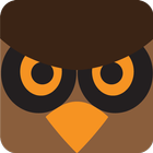 Little Owl Game icône