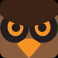 Little Owl Game Affiche