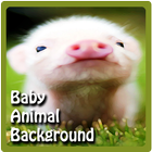 Cute Baby Animals Wallpapers ikona