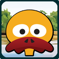 Duck Crush Mania