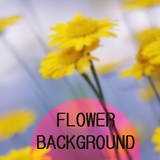 Beautiful Flower Wallpaper HD icône