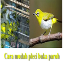 Cara mudah pleci buka paruh APK