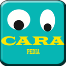 Carapedia - petunjuk pelamar kerja APK