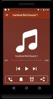 برنامه‌نما Cardinal Bird Sounds عکس از صفحه
