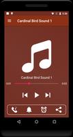 Cardinal Bird Sounds اسکرین شاٹ 1