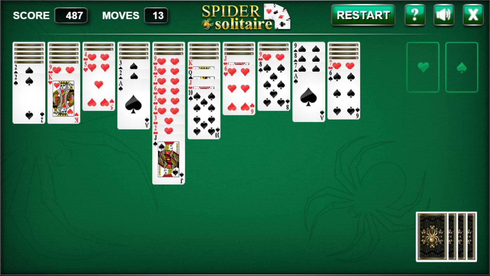 Spider Spider