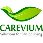 Carevium Access Anytime Zeichen