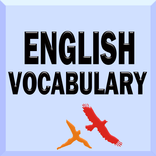 ”English Vocab Builder