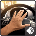 Car Horn Sounds