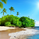 caribbean wallpapers APK