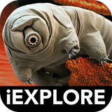 Micro Monsters iExplore biểu tượng