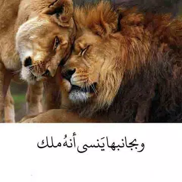 Screenshot 2 for حكم تطبع في القلوب 2020