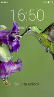 Hummingbird lock screen 海报
