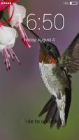 Hummingbird lock screen تصوير الشاشة 1