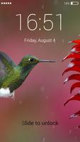 Hummingbird lock screen 截图 3