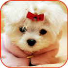 Puppy lock screen-icoon