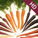 Carrot Wallpapers HD aplikacja