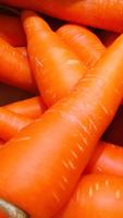 Carrot Wallpapers HD imagem de tela 3