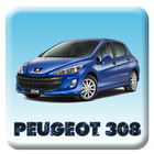 Repair Peugeot 308 icône