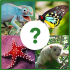 Guess The Animal Quiz For Kids icône