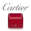 Cartier - Catalog APK