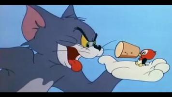 The Tom Cat and Jerry Video plakat