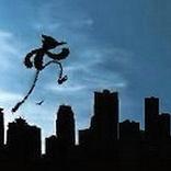 Blue jay regular jump