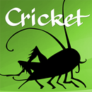 Cricket Magazine APK