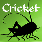 Cricket Magazine icône