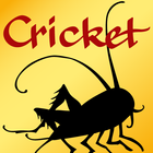 Cricket Magazine Zeichen