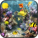 Fish Aquarium Live Wallpaper APK