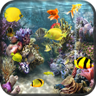Fish Aquarium Live Wallpaper ikona