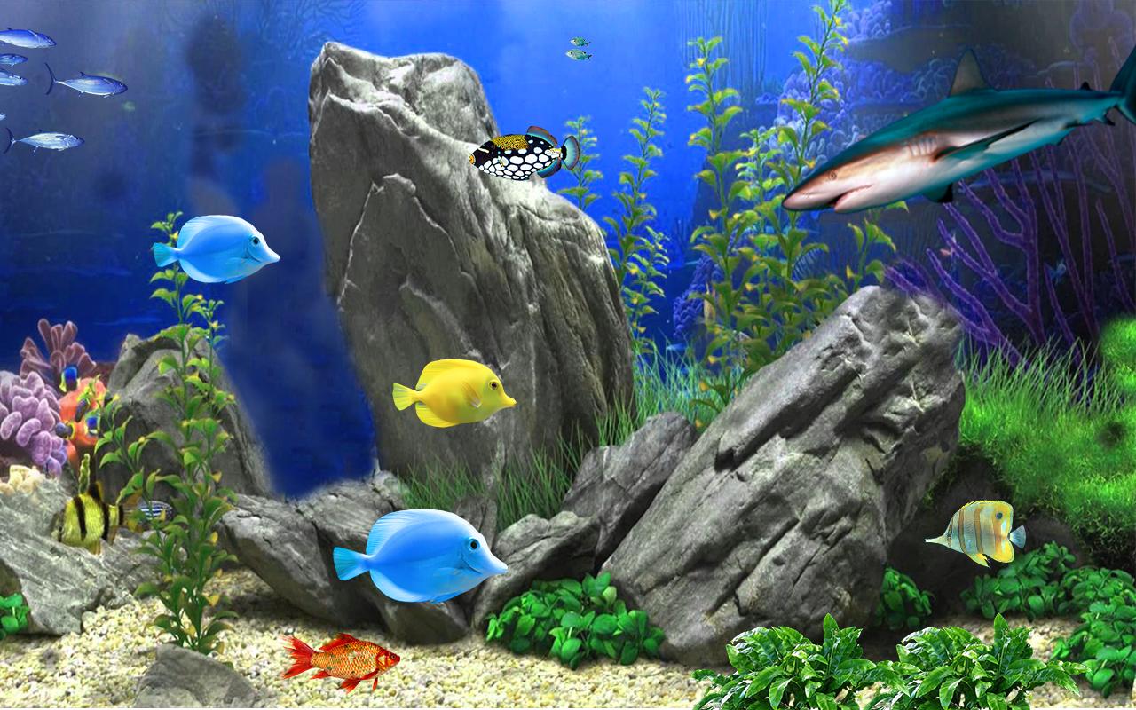 魚水族館動態壁紙安卓下載 安卓版apk 免費下載