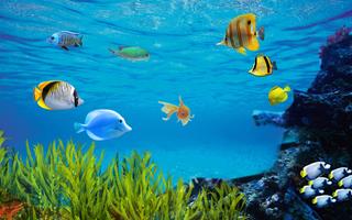 Fish Aquarium Live Wallpaper 스크린샷 1