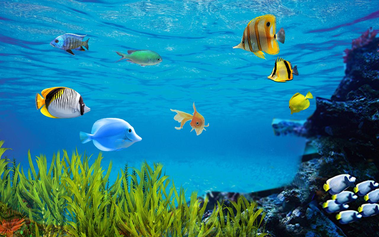  Fish  Aquarium Live  Wallpaper  for Android APK Download